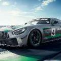 Track-only Mercedes-AMG GT4 unveiled image