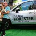 Driving with a dog: four important tips from Cesar Millan image