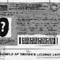 Recto-based organization looking to supply LTO with license cards image