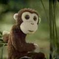 Emissions tests on animals cause problems for major German automakers image