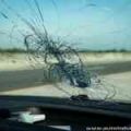 House passing bill with 1-25 year jail terms for throwing rocks at cars image