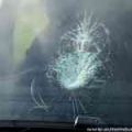 Congress approves bill to penalize throwing objects at vehicles image
