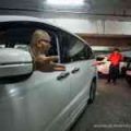 Police in Malaysia says parking lot standing reservations is a violation image