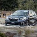 Roughing it out with the 2019 Subaru Forester image