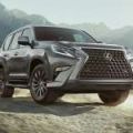 What a big grill you have, 2020 Lexus GX 460 image