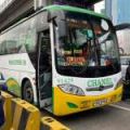 How effective is 'No Contact Apprehension'? Very, says MMDA image