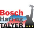 TESDA, Bosch further build Filipino auto technician competitiveness image