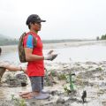Toyota PH is doing their bit for Mother Earth image