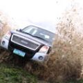 Isuzu Philippines launches Radikal D-Max Pickup image