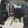 Jaguar Land Rover using 3D printed tech to test cars for dogs image