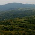 Toyota begins 2nd phase of Philippine Penablanca reforestation project image