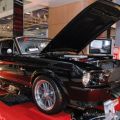2008 Trans Sport Show image