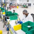 GM sharing face mask production plans with parts suppliers image