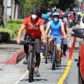 DOTr wants your opinion on bike lanes image