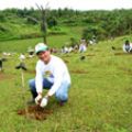 Honda Foundation revisits Caliraya for Reforestation Program image