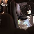 Ford video reveals dangers of leaving kids, pets in parked cars image