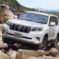 Toyota LC Prado, Lexus models now affected by parts shortage image