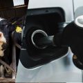 Dairy driven: Milk-based ethanol fuel being developed in US image
