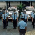 LTO deploys 41 enforcers during FIBA World Cup image