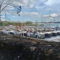 Fire guts 200 brand new cars in Batangas industrial park image
