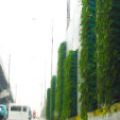 MMDA makes EDSA greener with vertical gardens image
