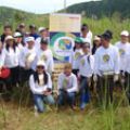 Honda Foundation conducts reforestation program image