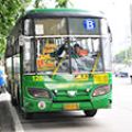 MMDA to issue new City Bus Stickers due to proliferation of fakes image