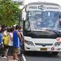 LTFRB allows provincial buses back in the metro  image