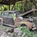 A Peacetime motoring relic image