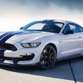 Ford reveals 2015 Shelby GT350 Mustang image