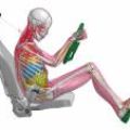Toyota software simulates muscle movement in car accident image
