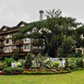 Saving the orphans of Camp John Hay image