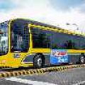Froehlich Tours partners with MAN for new Low Entry City Bus image