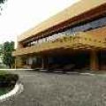 Traffic violation fine payments now accepted at Bayad Center image