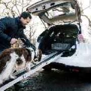 Canine-friendly Nissan X-Trail 4Dogs concept revealed  image