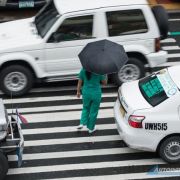 Welcome To The Jungle image