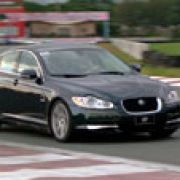 Jaguars unleashed on the Speedway image