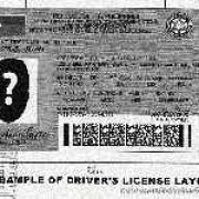 Recto-based organization looking to supply LTO with license cards image