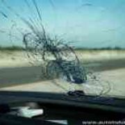 Shattered Glass: What to do when something hits your windshield image