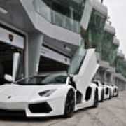 Taming the Bull image