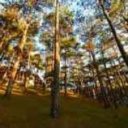 Places to drive in 1988: Heading Northbound image