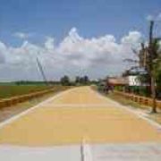 DPWH: Drying palay on the road will result in fine, jail time image