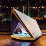 Ford's noise-cancelling kennel is what your dog needs on New Year's Eve image