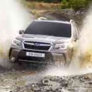This is your last chance to get a Subaru Forester XT image