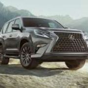 What a big grill you have, 2020 Lexus GX 460 image