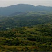 Toyota begins 2nd phase of Philippine Penablanca reforestation project image