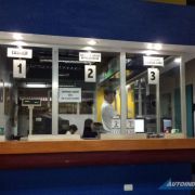 LTO resumes office operations in NCR, Laguna, Region 3 image