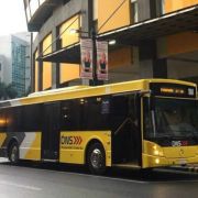 DOTr deploys over 200 P2P buses, opens 28 routes to ease commuting image