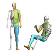 Toyota is making their virtual crash test dummy available for all image