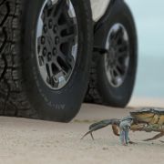 New Hummer EV can move sideways, just like a crab image